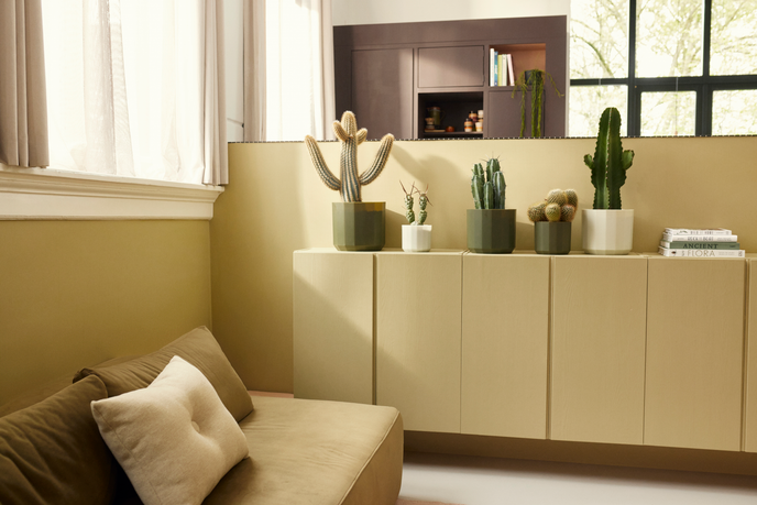 facet round 14cm verde foresta